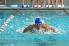 Swimming vs Babson  Wheaton College Swimming vs Babson College. - Photo By: KEITH NORDSTROM : Wheaton, Swimming, Babson